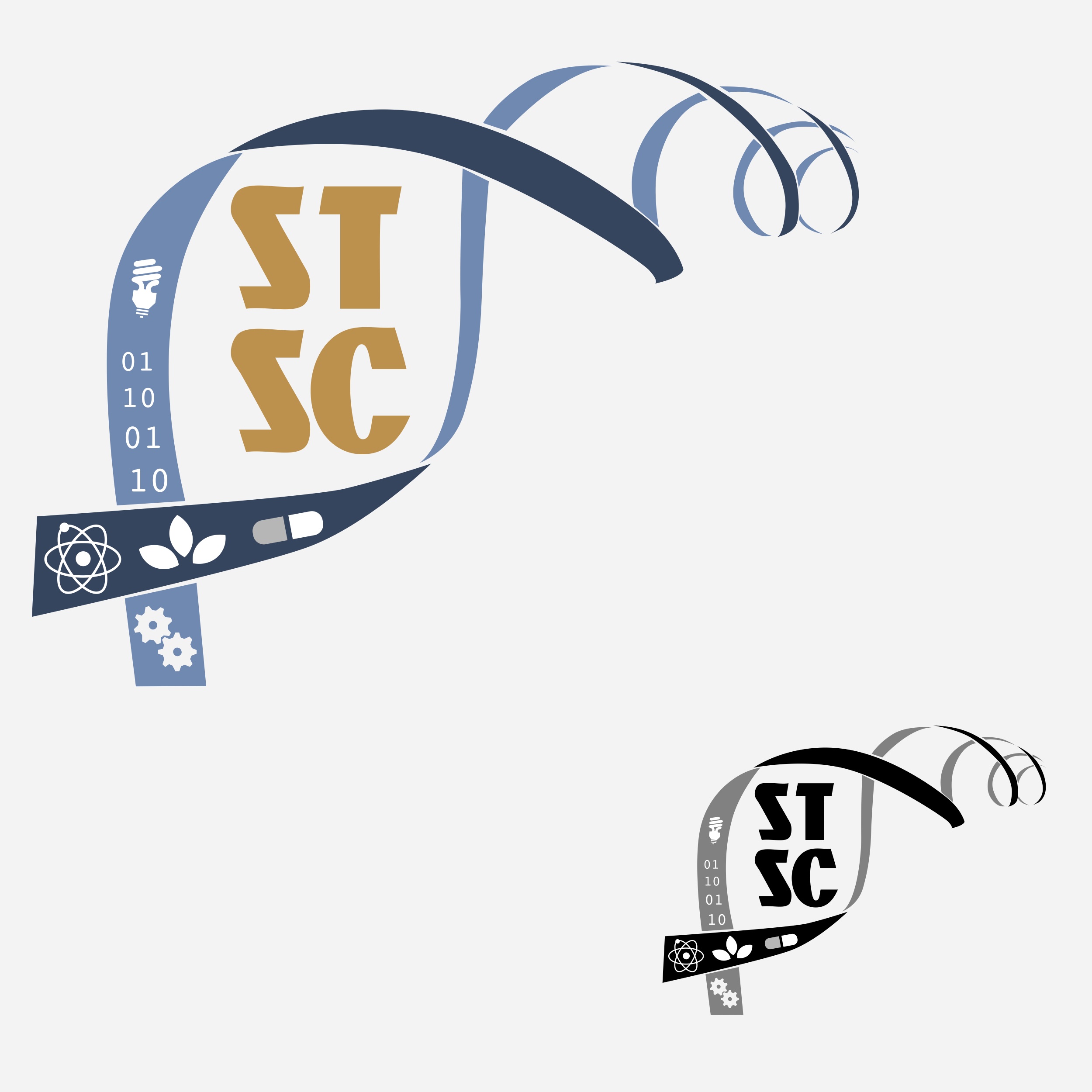 Second Logo Concept for STSC